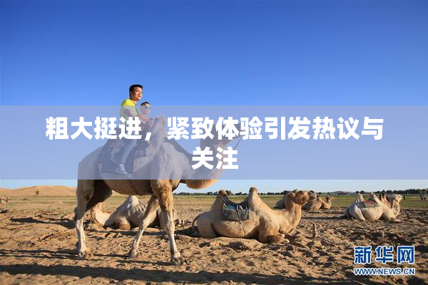 粗大挺进，紧致体验引发热议与关注