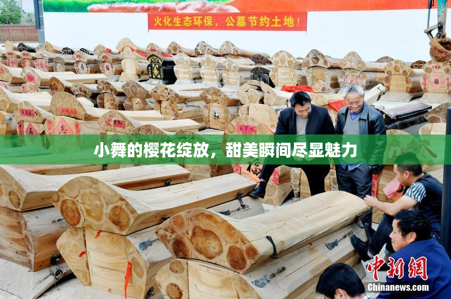 小舞的樱花绽放，甜美瞬间尽显魅力