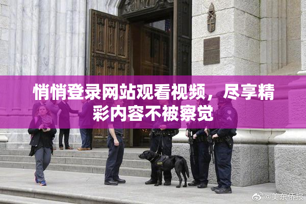 悄悄登录网站观看视频，尽享精彩内容不被察觉