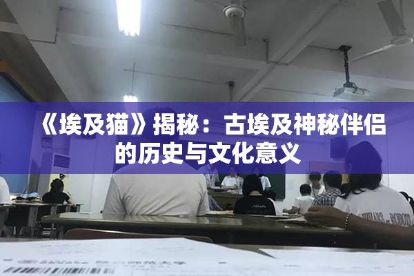 《埃及猫》揭秘：古埃及神秘伴侣的历史与文化意义