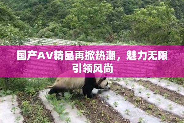 国产AV精品再掀热潮，魅力无限引领风尚