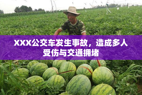 XXX公交车发生事故，造成多人受伤与交通拥堵