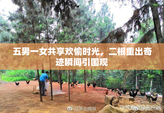 五男一女共享欢愉时光，二根重出奇迹瞬间引围观