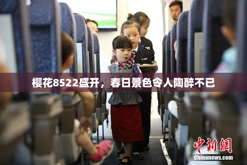 樱花8522盛开，春日景色令人陶醉不已