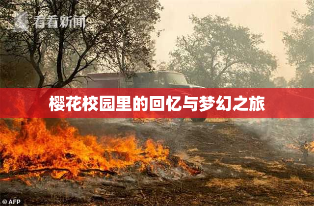 樱花校园里的回忆与梦幻之旅