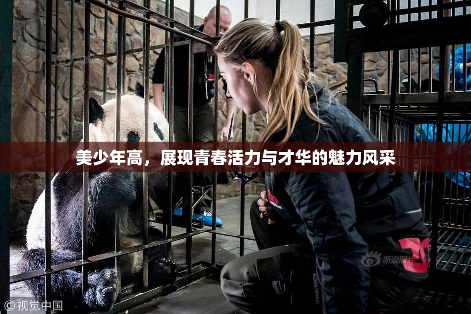 美少年高，展现青春活力与才华的魅力风采