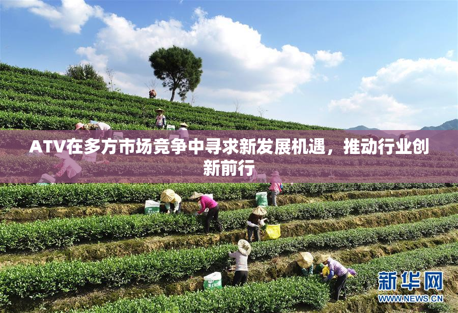 ATV在多方市场竞争中寻求新发展机遇，推动行业创新前行