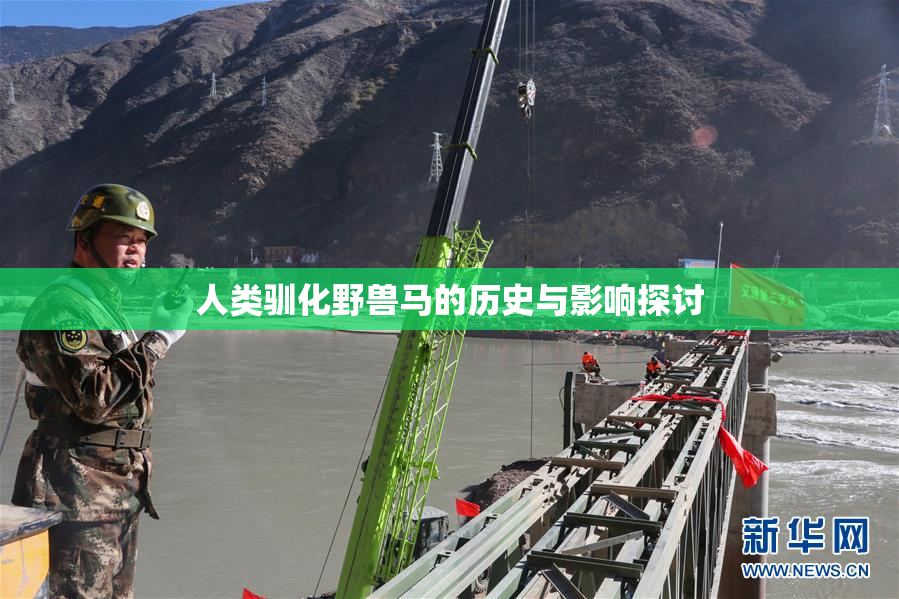 人类驯化野兽马的历史与影响探讨