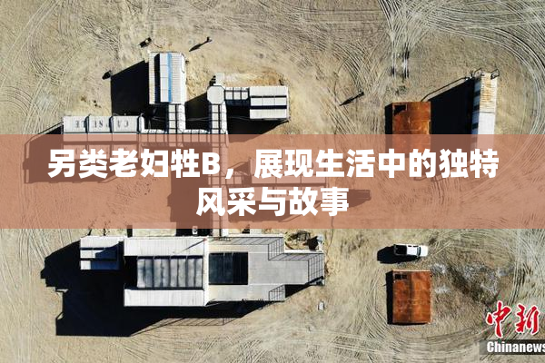 另类老妇牲B，展现生活中的独特风采与故事