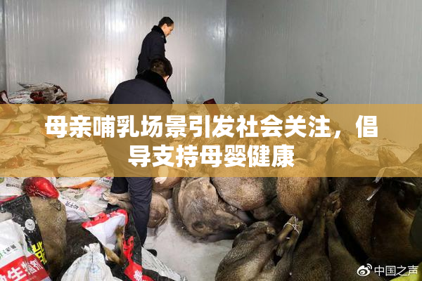 母亲哺乳场景引发社会关注，倡导支持母婴健康