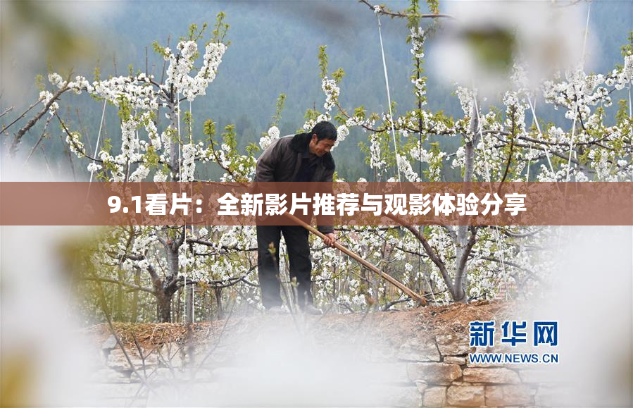 9.1看片：全新影片推荐与观影体验分享