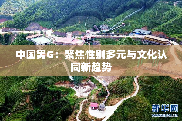 中国男G：聚焦性别多元与文化认同新趋势