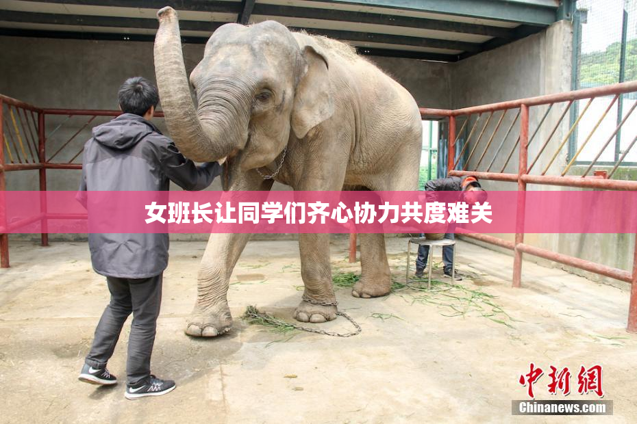 女班长让同学们齐心协力共度难关
