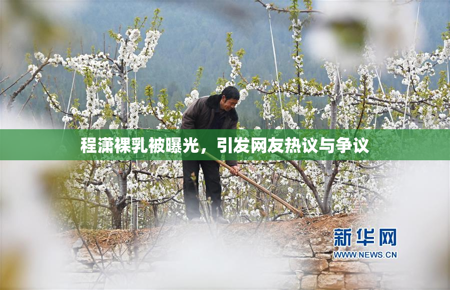 程潇裸乳被曝光，引发网友热议与争议