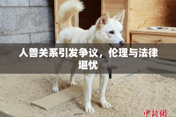 人兽关系引发争议，伦理与法律堪忧