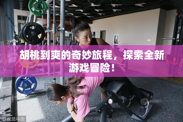 胡桃到爽的奇妙旅程，探索全新游戏冒险！