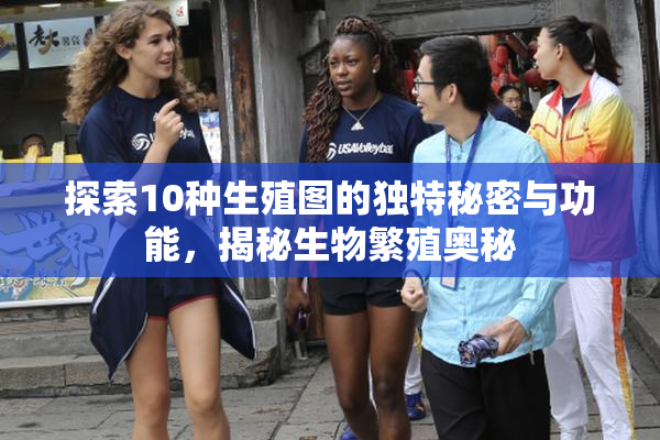 探索10种生殖图的独特秘密与功能，揭秘生物繁殖奥秘