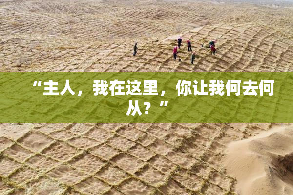 “主人，我在这里，你让我何去何从？”