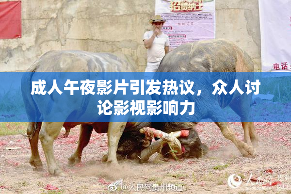 成人午夜影片引发热议，众人讨论影视影响力