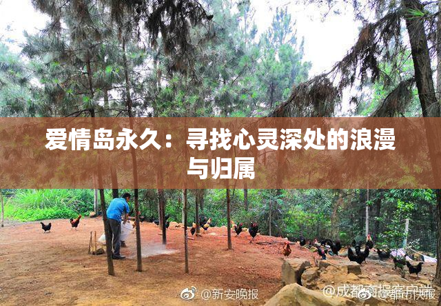 爱情岛永久：寻找心灵深处的浪漫与归属