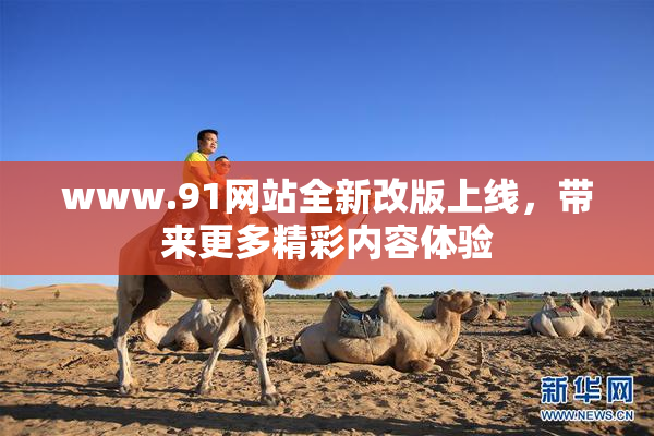 www.91网站全新改版上线，带来更多精彩内容体验
