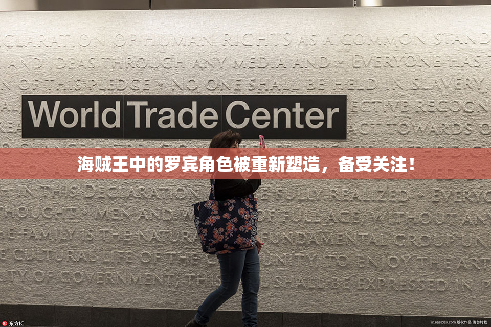 海贼王中的罗宾角色被重新塑造，备受关注！