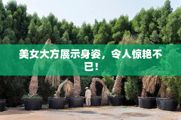 美女大方展示身姿，令人惊艳不已！