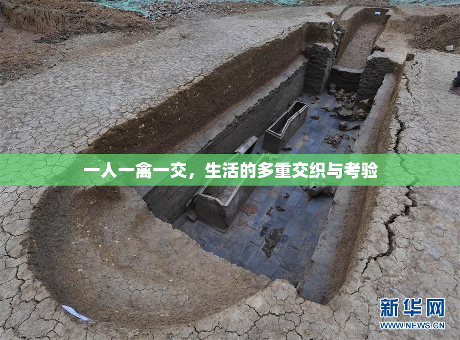 一人一禽一交，生活的多重交织与考验