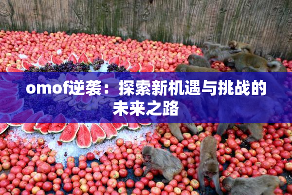 omof逆袭：探索新机遇与挑战的未来之路