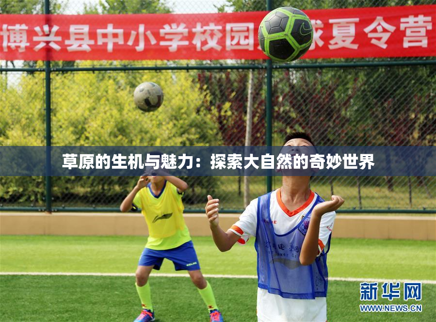 草原的生机与魅力：探索大自然的奇妙世界
