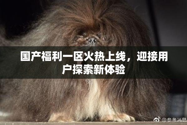 国产福利一区火热上线，迎接用户探索新体验