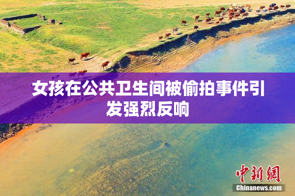 女孩在公共卫生间被偷拍事件引发强烈反响