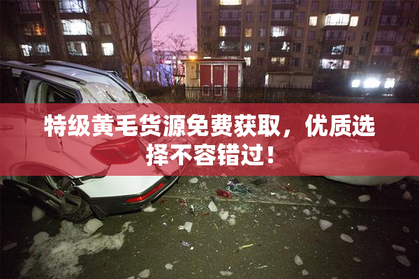 特级黄毛货源免费获取，优质选择不容错过！