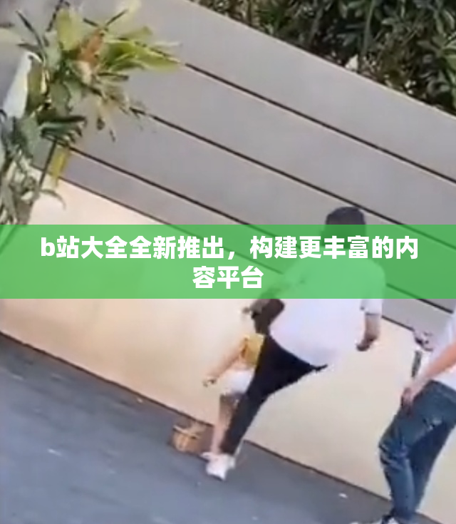 b站大全全新推出，构建更丰富的内容平台