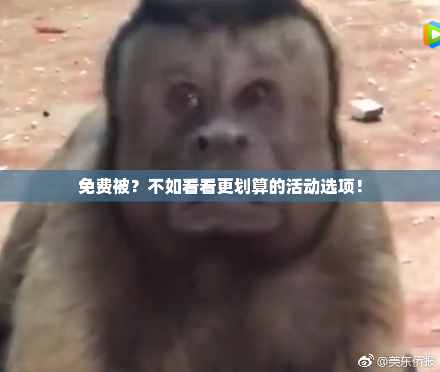 免费被？不如看看更划算的活动选项！