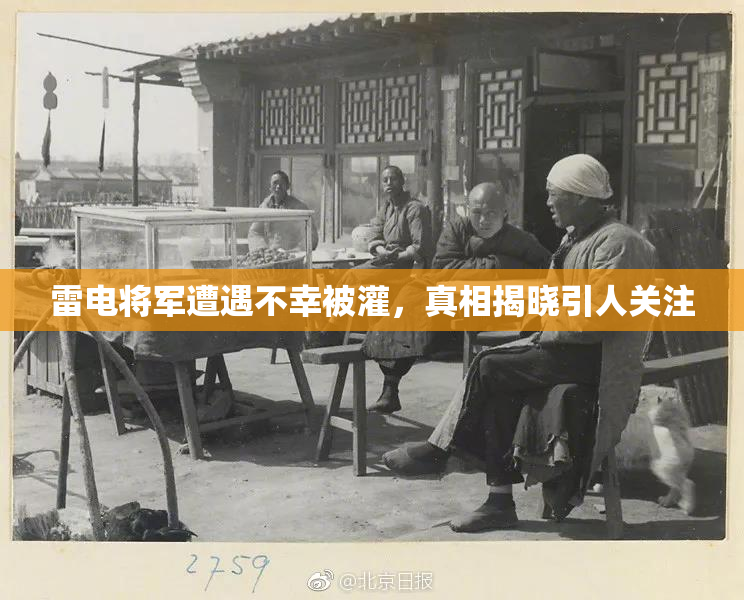 雷电将军遭遇不幸被灌，真相揭晓引人关注