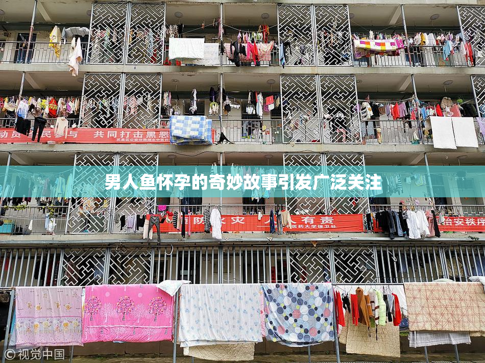男人鱼怀孕的奇妙故事引发广泛关注