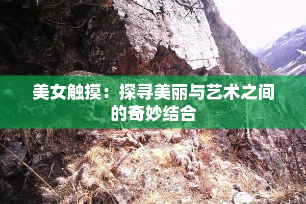 美女触摸：探寻美丽与艺术之间的奇妙结合