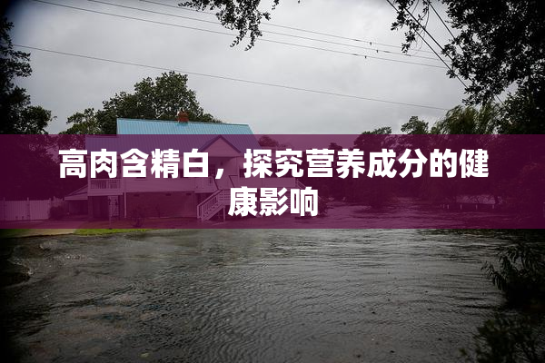 高肉含精白，探究营养成分的健康影响