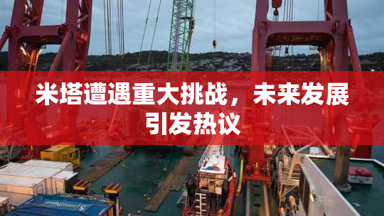 米塔遭遇重大挑战，未来发展引发热议