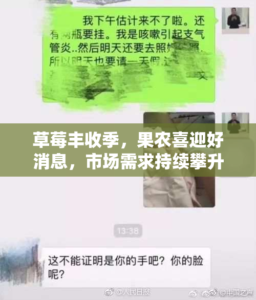 草莓丰收季，果农喜迎好消息，市场需求持续攀升！