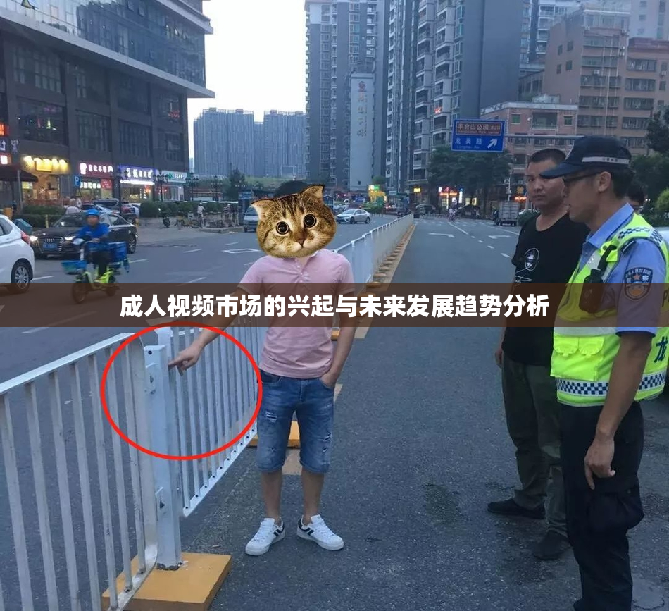 成人视频市场的兴起与未来发展趋势分析