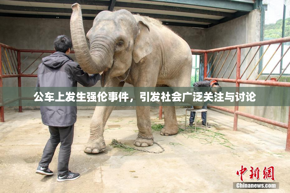 公车上发生强伦事件，引发社会广泛关注与讨论