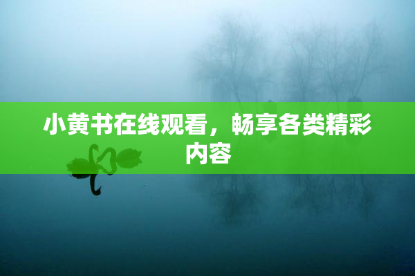 小黄书在线观看，畅享各类精彩内容