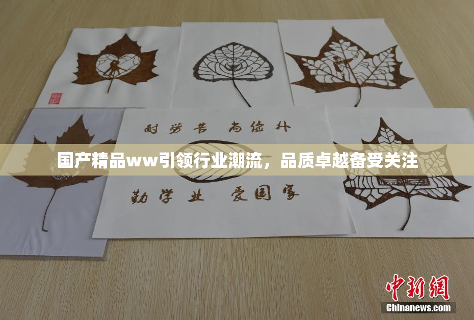 国产精品ww引领行业潮流，品质卓越备受关注