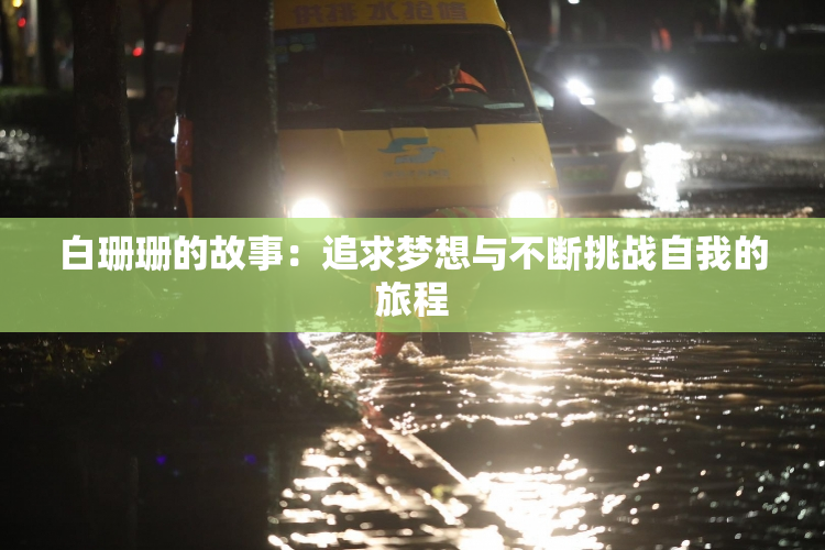 白珊珊的故事：追求梦想与不断挑战自我的旅程