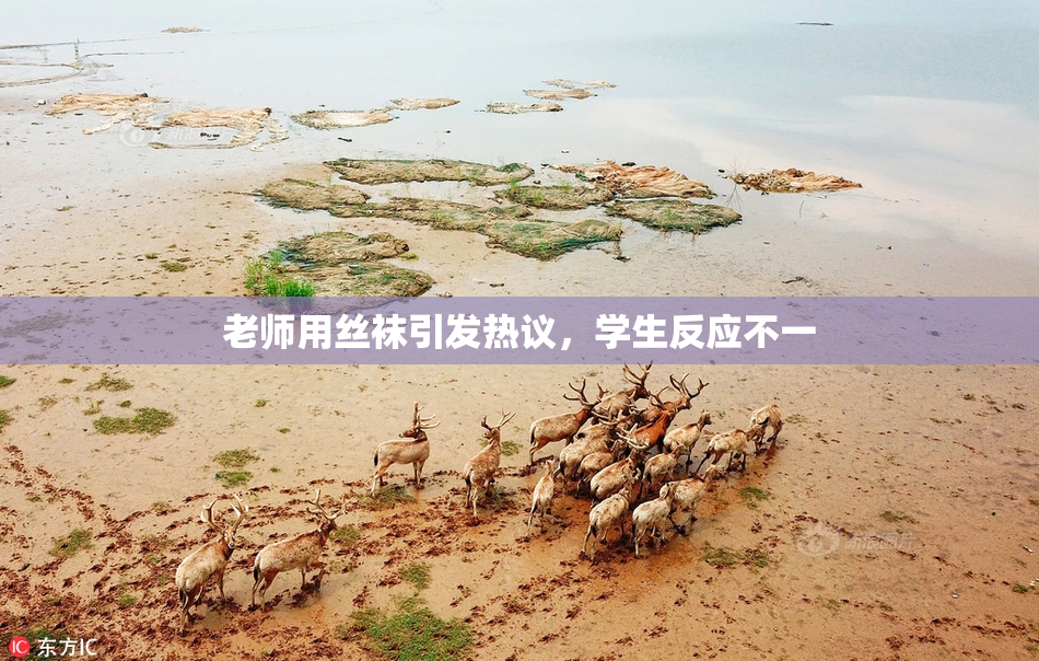老师用丝袜引发热议，学生反应不一