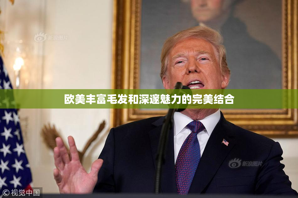 欧美丰富毛发和深邃魅力的完美结合