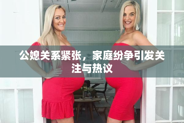 公媳关系紧张，家庭纷争引发关注与热议