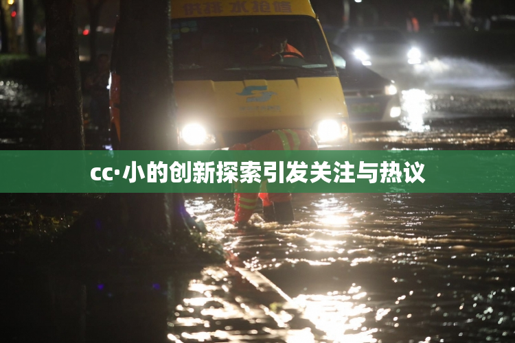 cc·小的创新探索引发关注与热议